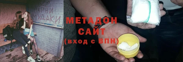 шишки Арсеньев