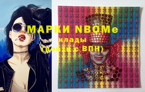 шишки Арсеньев
