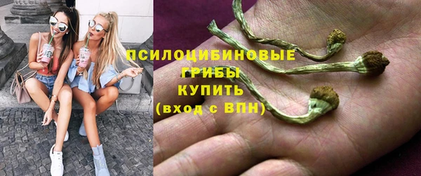 шишки Арсеньев