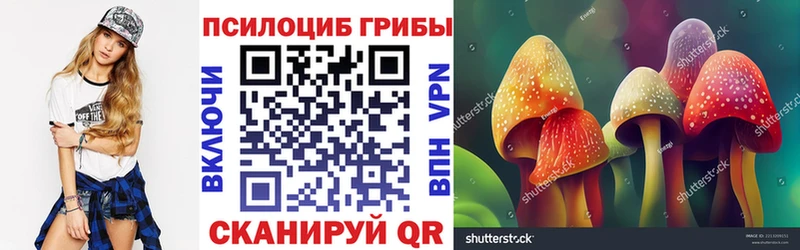 blacksprut рабочий сайт Любим Псилоцибиновые грибы мухоморы